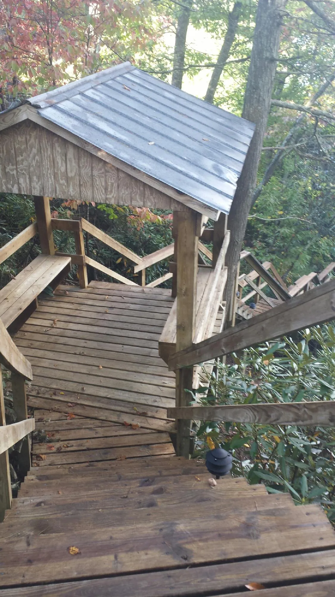 Metal roofed shelter over wooden steps on a wooded walkway — Skylight Repair & Installation work by our crew in Corral